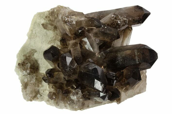 Dark Smoky Quartz Crystal Cluster - Brazil #120756